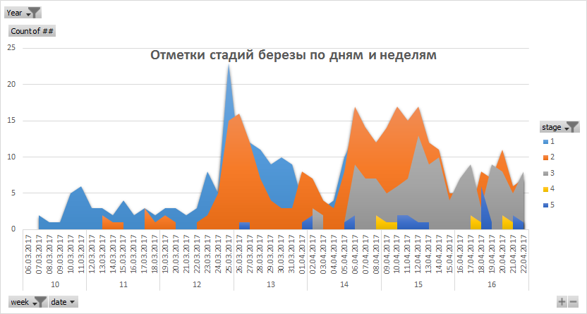Прогноз пыльцы. Пыление березы 2022. График пыления березы. Концентрация цветения березы. Пыление березы в Москве по годам.