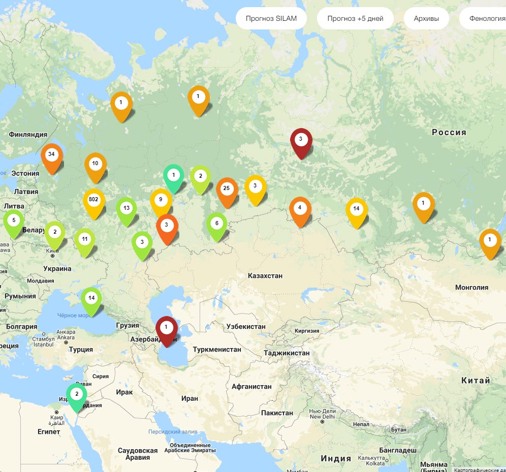 Карта пыльцы москва. Карта пыльцы для аллергиков Москва. Карта пыльцы. Пыление березы в Москве сегодня. Карта пыльцы для аллергиков Казань.